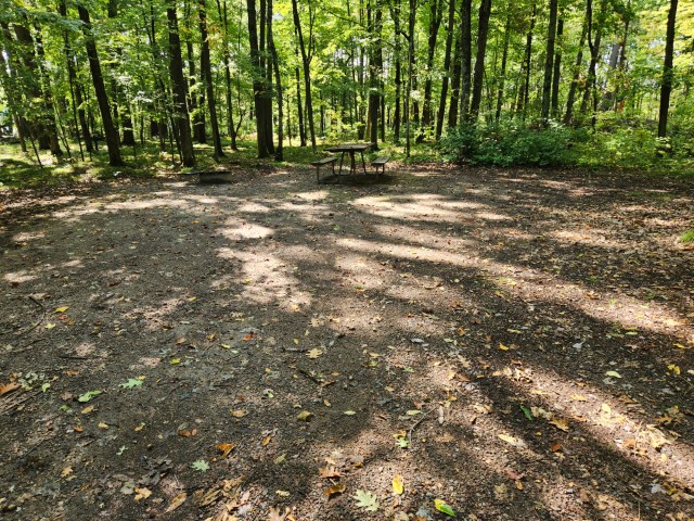 Site 47, photo 3 of 3 · from wisconsin.goingtocamp.com (the park's booking system)