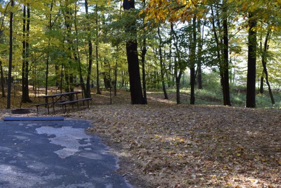 Site 69, photo 3 of 3 · from wisconsin.goingtocamp.com (the park's booking system)