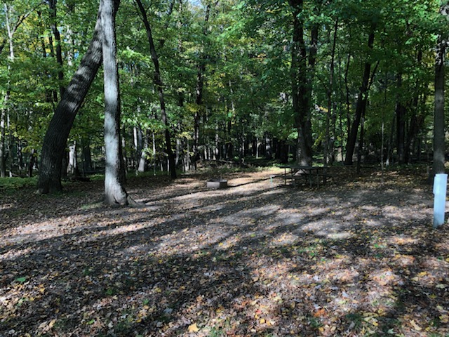 Site 11, photo 3 of 3 · from wisconsin.goingtocamp.com (the park's booking system)