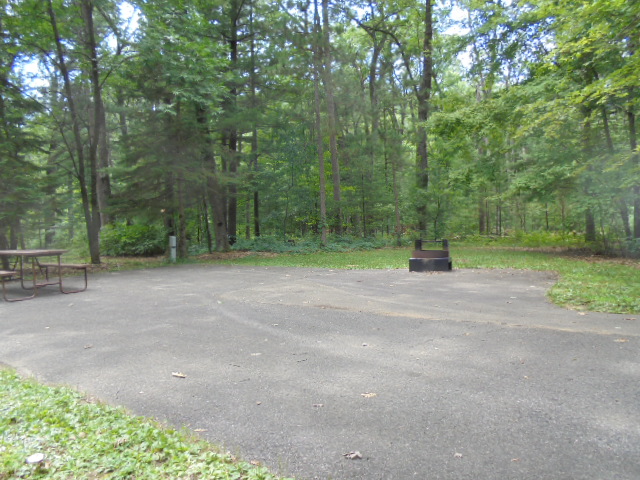 Site 8, photo 2 of 4 · from wisconsin.goingtocamp.com (the park's booking system)