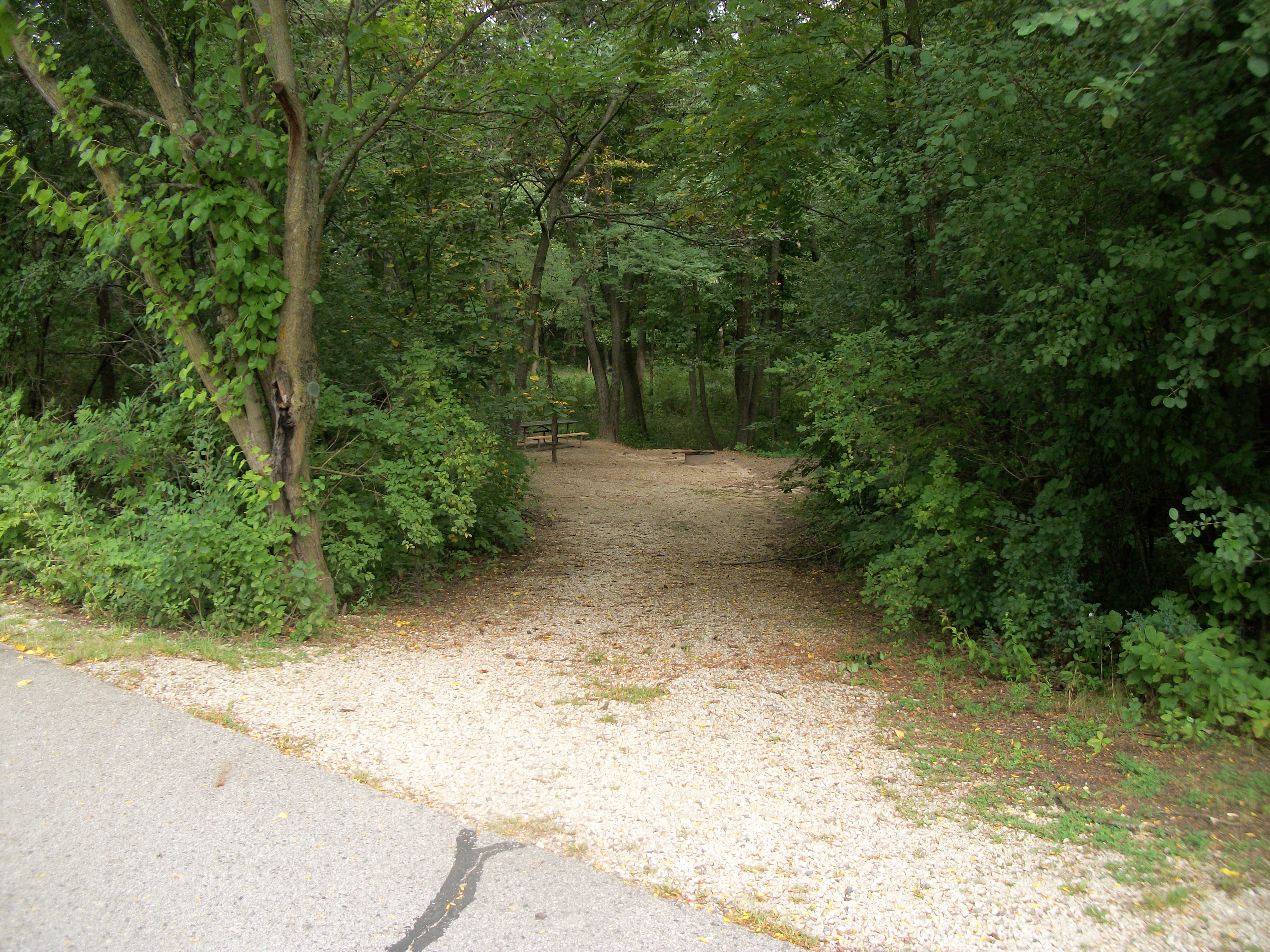 Site 365, photo 2 of 3 · from wisconsin.goingtocamp.com (the park's booking system)