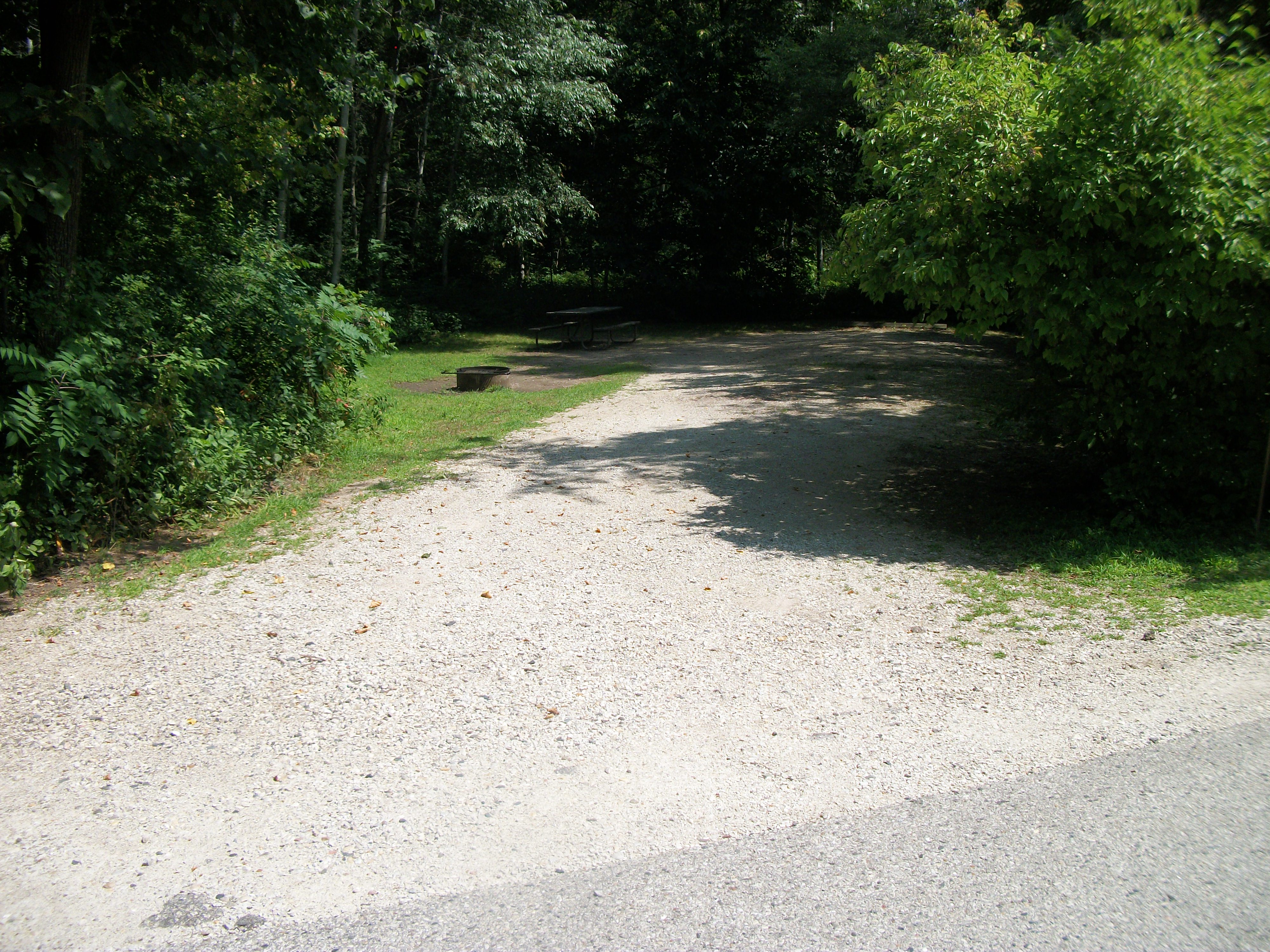 Site 322, photo 2 of 3 · from wisconsin.goingtocamp.com (the park's booking system)