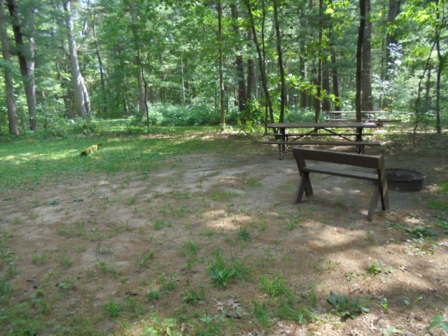 Site 4, photo 2 of 4 · from wisconsin.goingtocamp.com (the park's booking system)