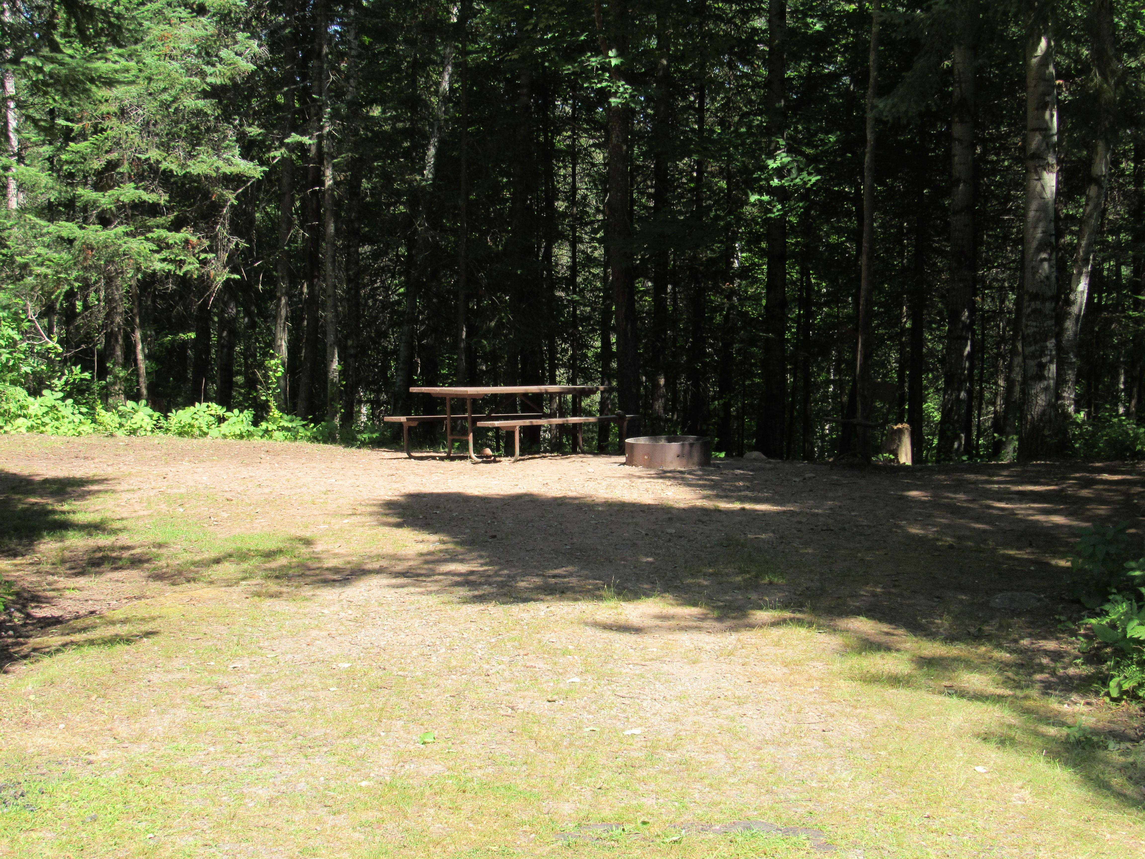 Site 1, photo 2 of 3 · from wisconsin.goingtocamp.com (the park's booking system)