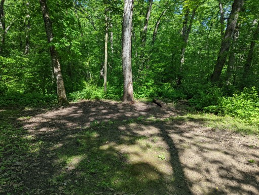 Site 29, photo 3 of 3 · from wisconsin.goingtocamp.com (the park's booking system)