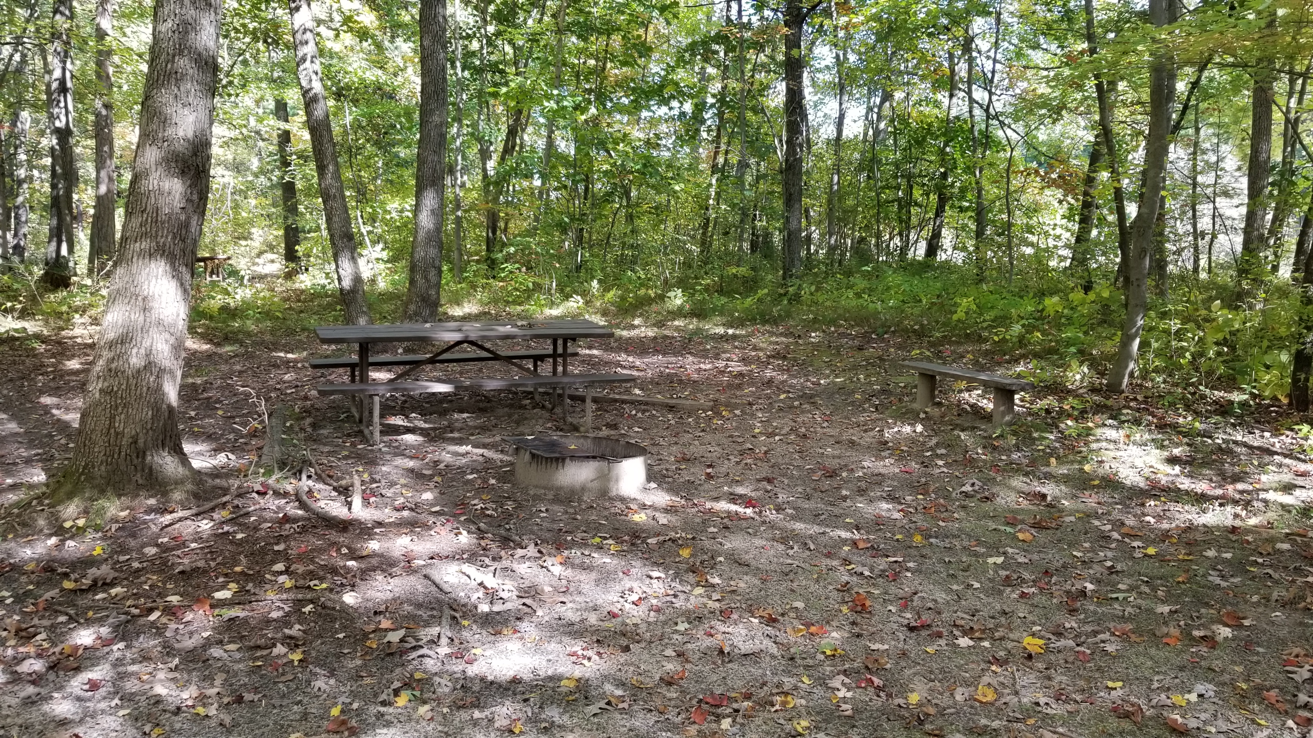 Site 2, photo 3 of 4 · from wisconsin.goingtocamp.com (the park's booking system)