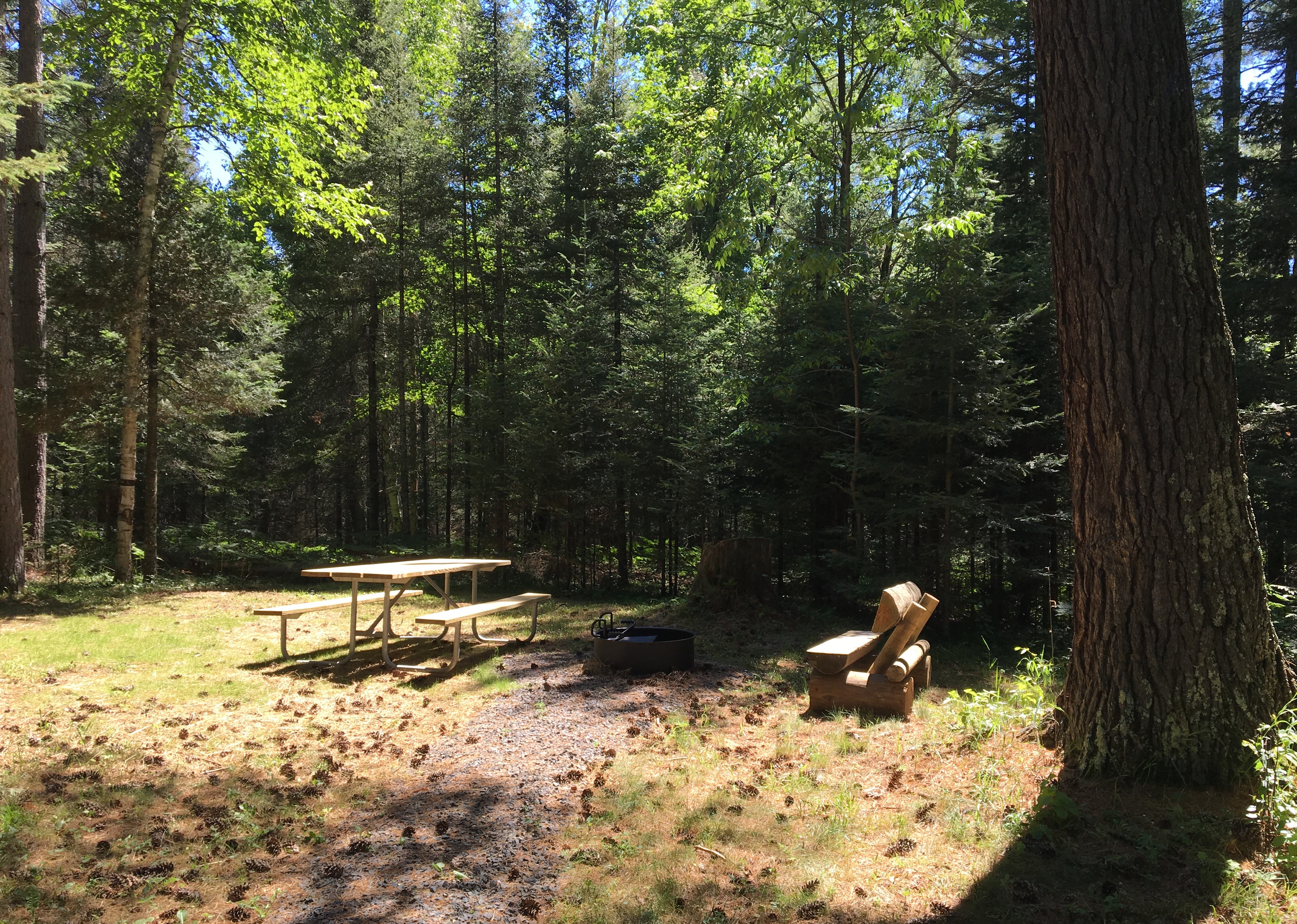 Site 31, photo 2 of 2 · from wisconsin.goingtocamp.com (the park's booking system)