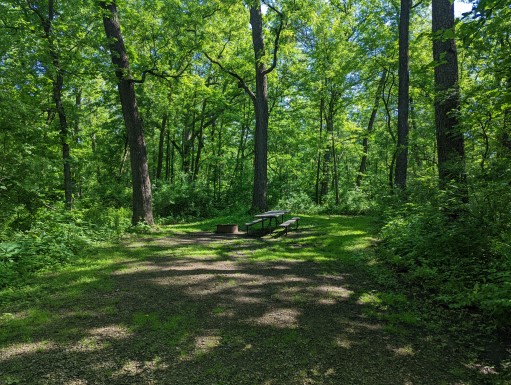 Site 16, photo 3 of 3 · from wisconsin.goingtocamp.com (the park's booking system)
