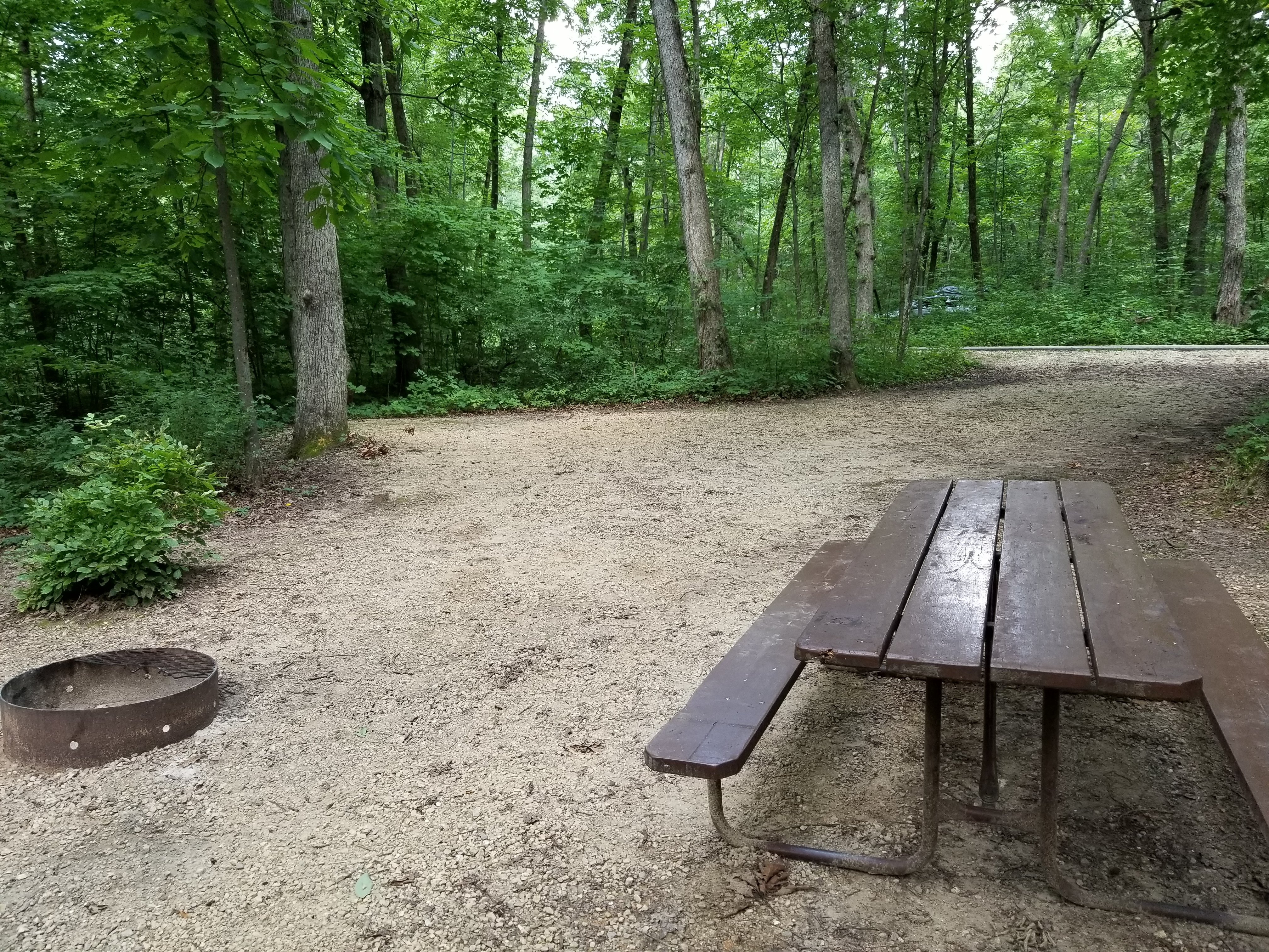 Site 75, photo 3 of 3 · from wisconsin.goingtocamp.com (the park's booking system)