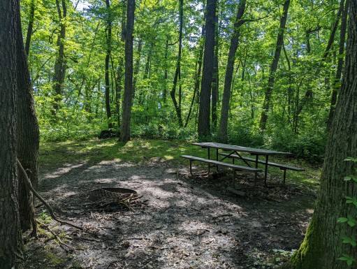 Site 26, photo 3 of 3 · from wisconsin.goingtocamp.com (the park's booking system)