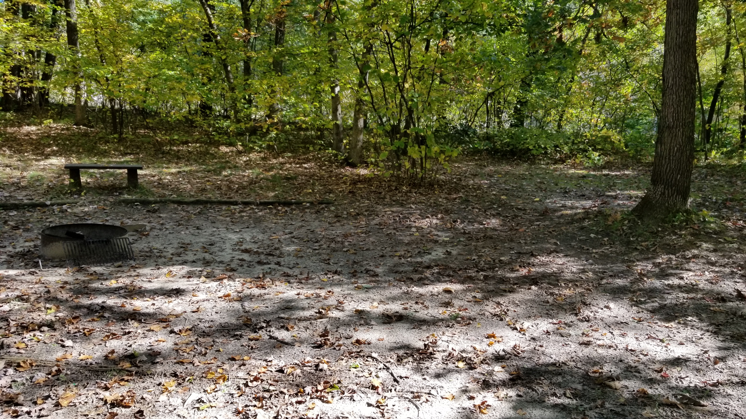 Site 4, photo 3 of 4 · from wisconsin.goingtocamp.com (the park's booking system)