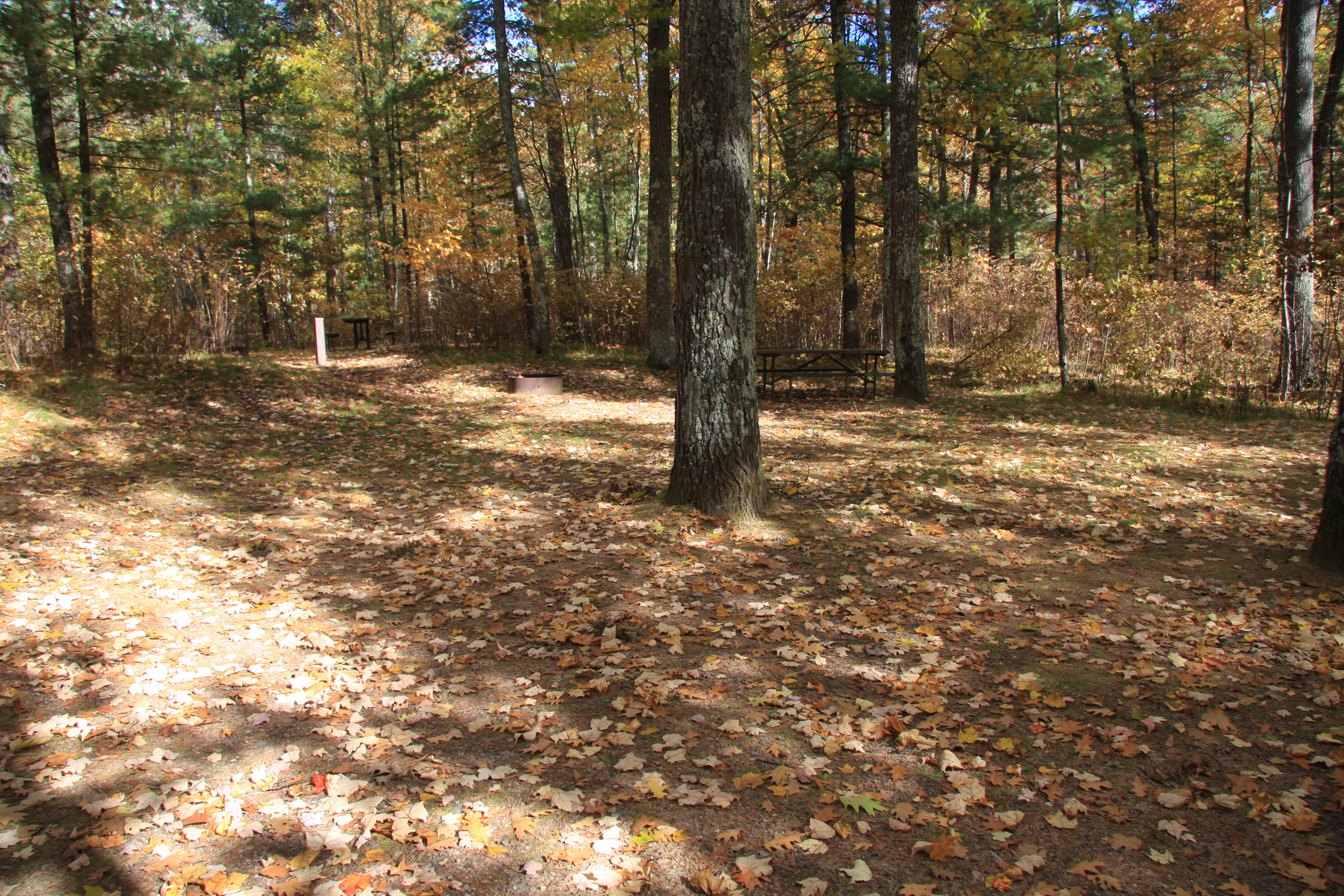 Site 2018, photo 3 of 3 · from wisconsin.goingtocamp.com (the park's booking system)
