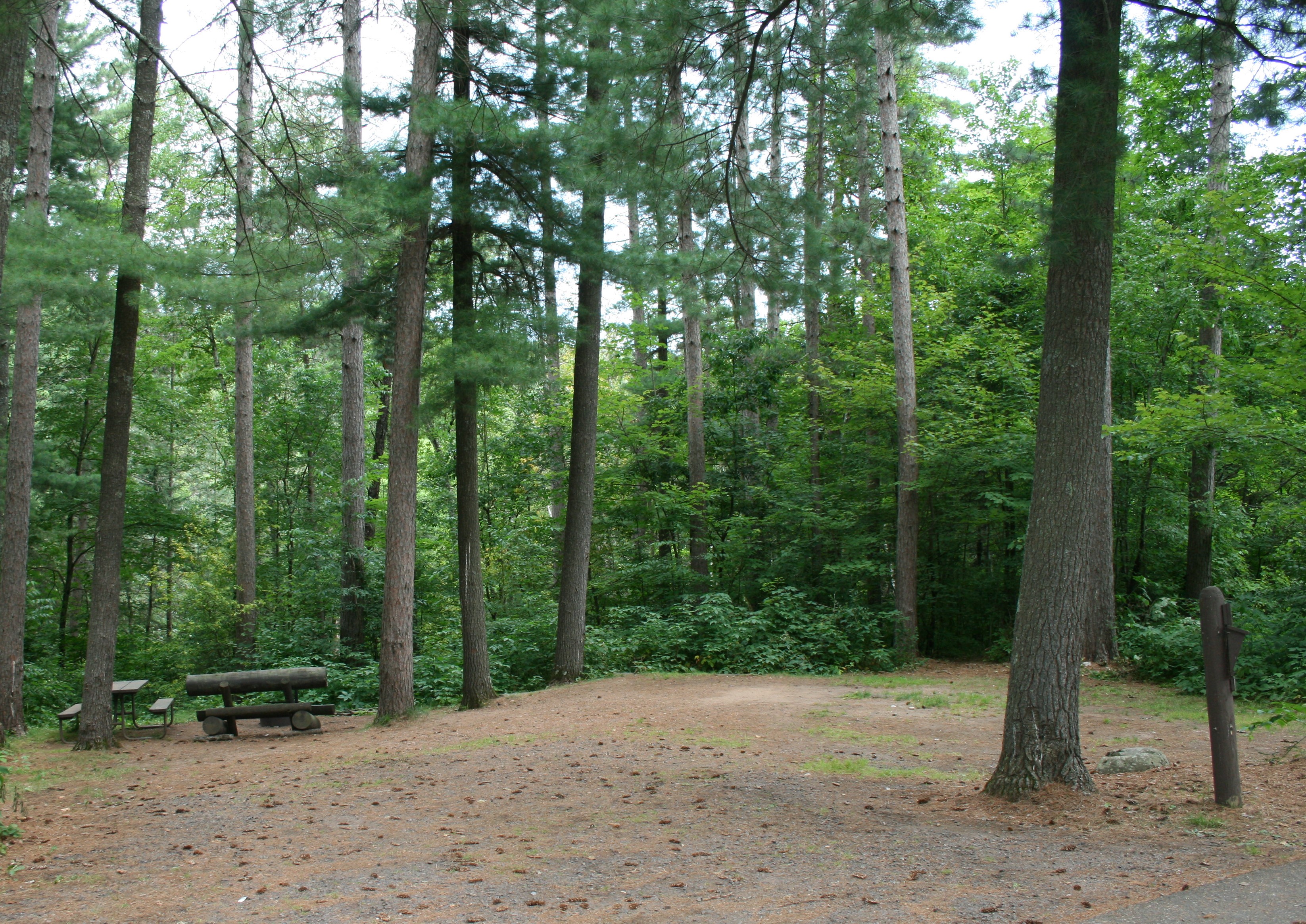 Site 12, photo 2 of 3 · from wisconsin.goingtocamp.com (the park's booking system)