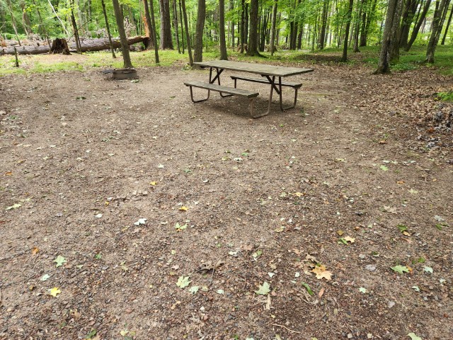 Site 43, photo 3 of 3 · from wisconsin.goingtocamp.com (the park's booking system)