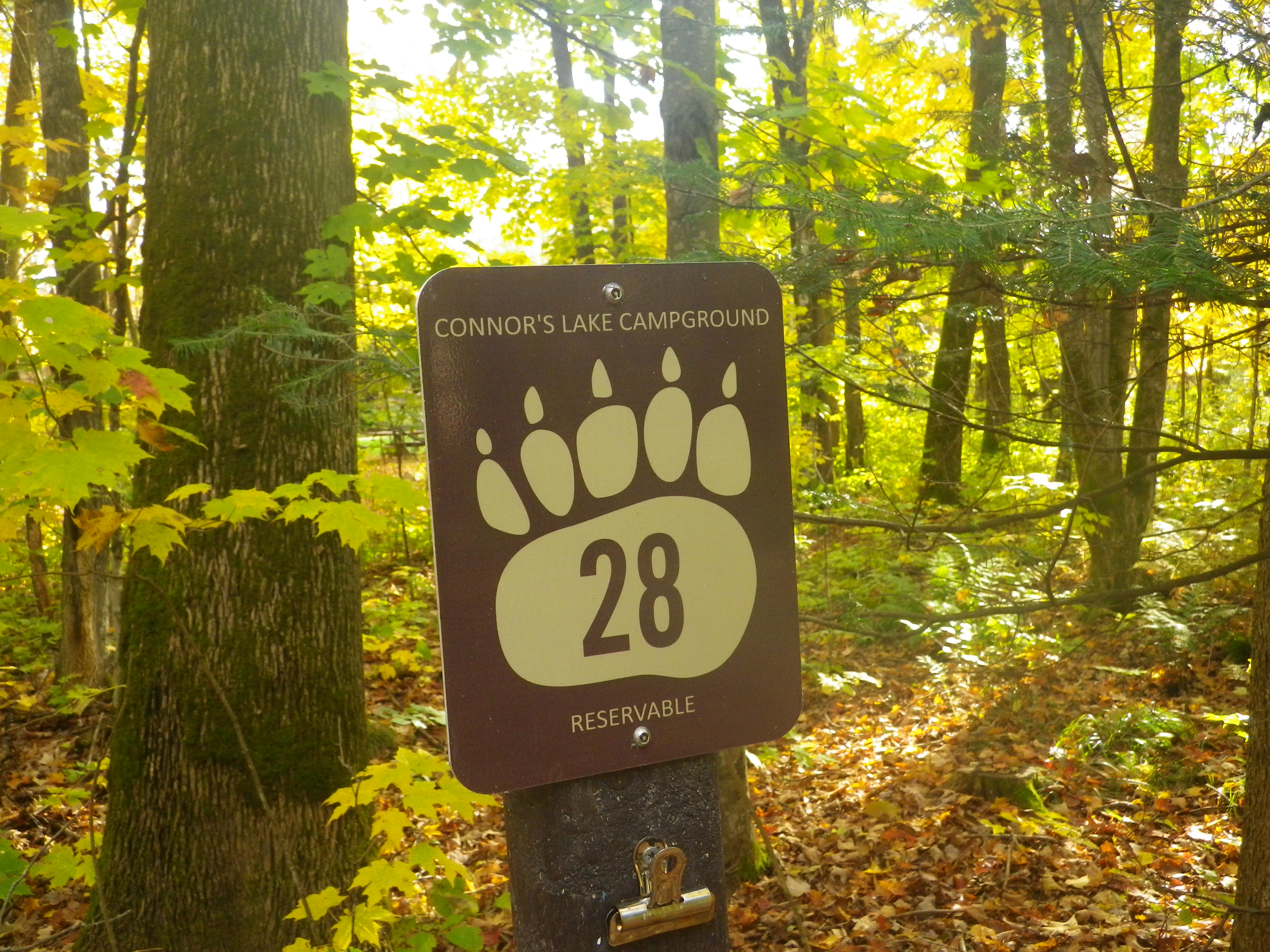 Site 28, photo 2 of 4 · from wisconsin.goingtocamp.com (the park's booking system)