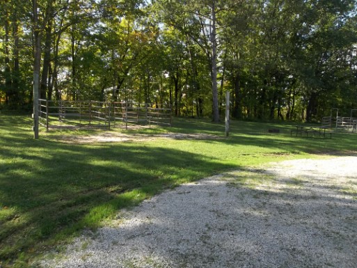 Site 12, photo 3 of 3 · from wisconsin.goingtocamp.com (the park's booking system)