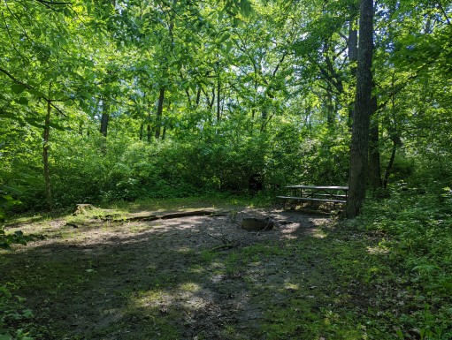 Site 23, photo 3 of 3 · from wisconsin.goingtocamp.com (the park's booking system)