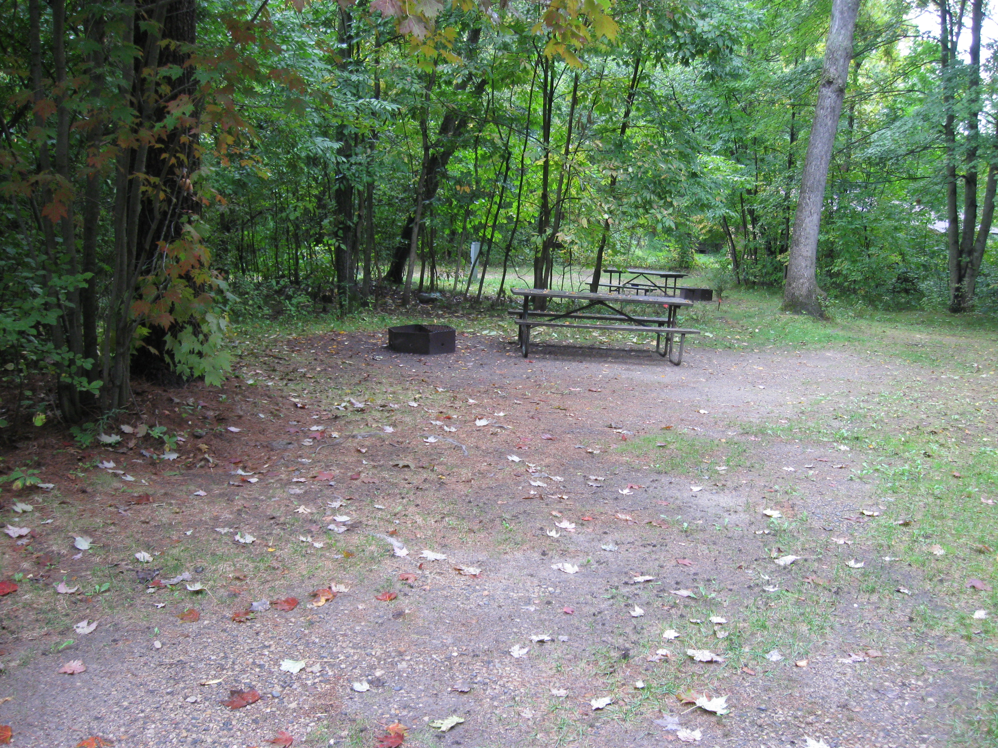 Site 56, photo 2 of 2 · from wisconsin.goingtocamp.com (the park's booking system)