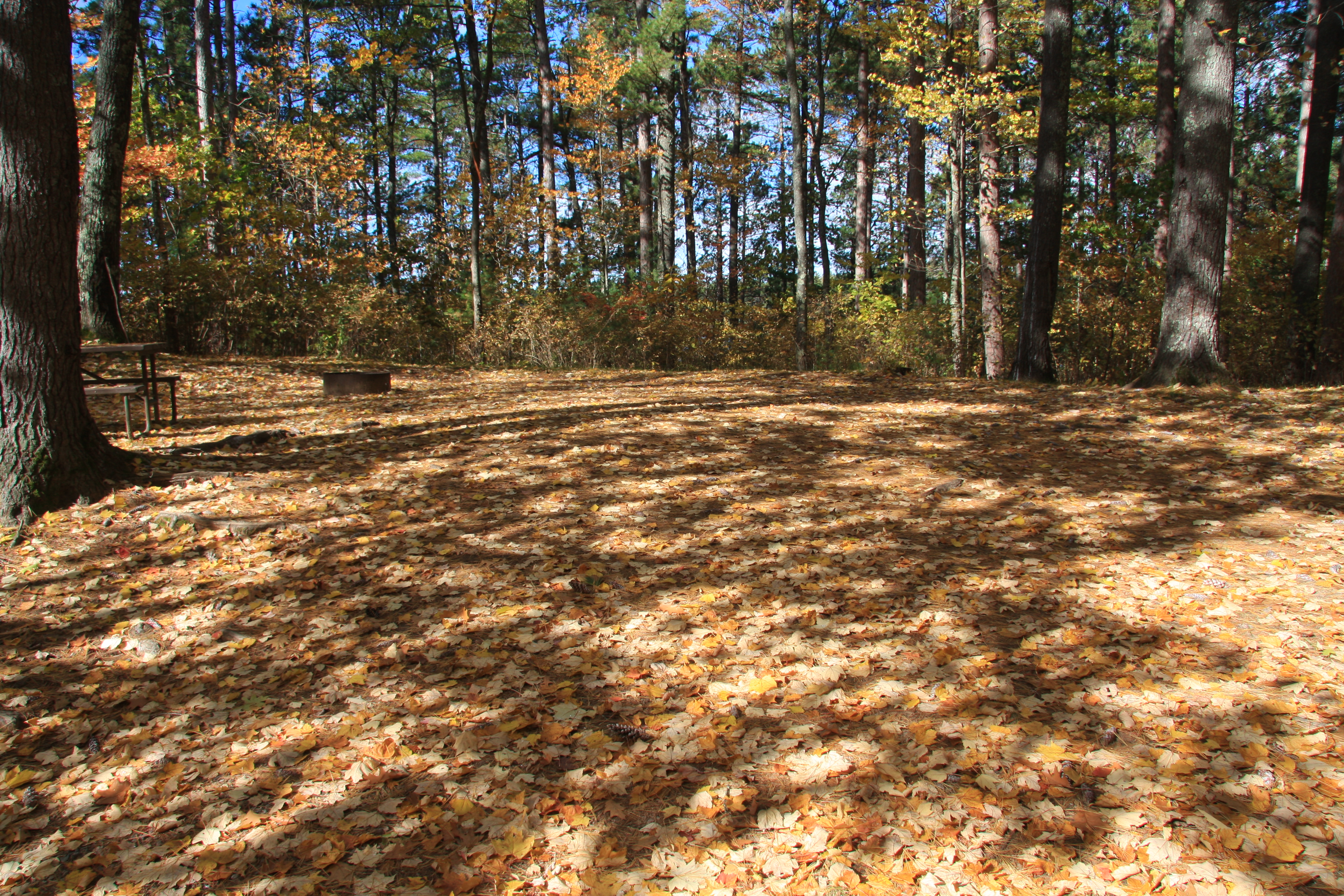 Site 2013, photo 3 of 3 · from wisconsin.goingtocamp.com (the park's booking system)
