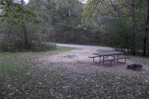 Site 311, photo 3 of 4 · from wisconsin.goingtocamp.com (the park's booking system)
