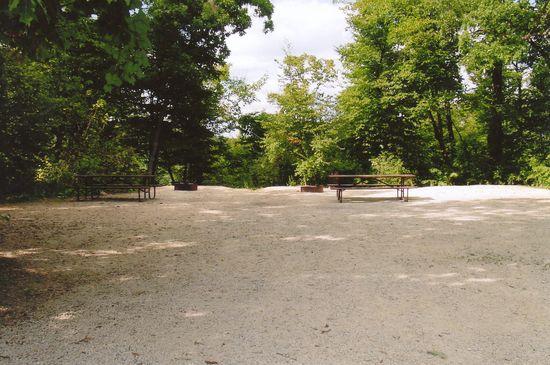 Site 290, photo 2 of 2 · from wisconsin.goingtocamp.com (the park's booking system)