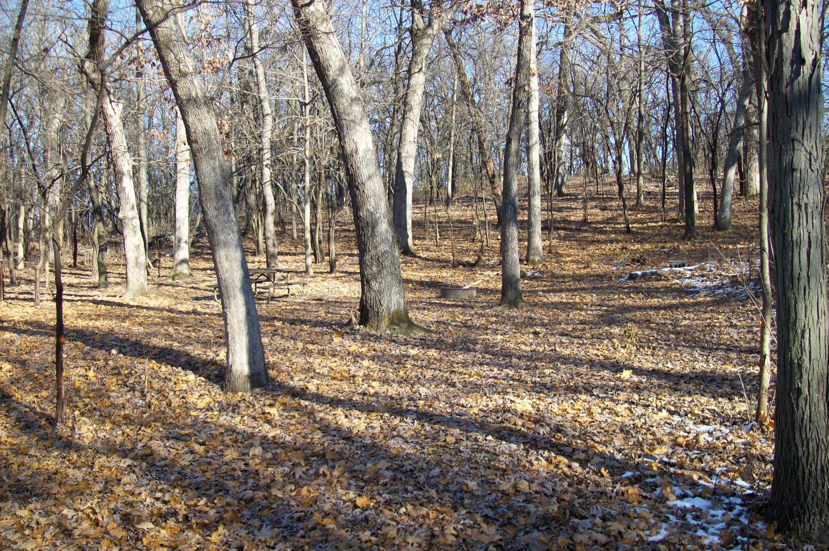 Site 756, photo 2 of 4 · from wisconsin.goingtocamp.com (the park's booking system)
