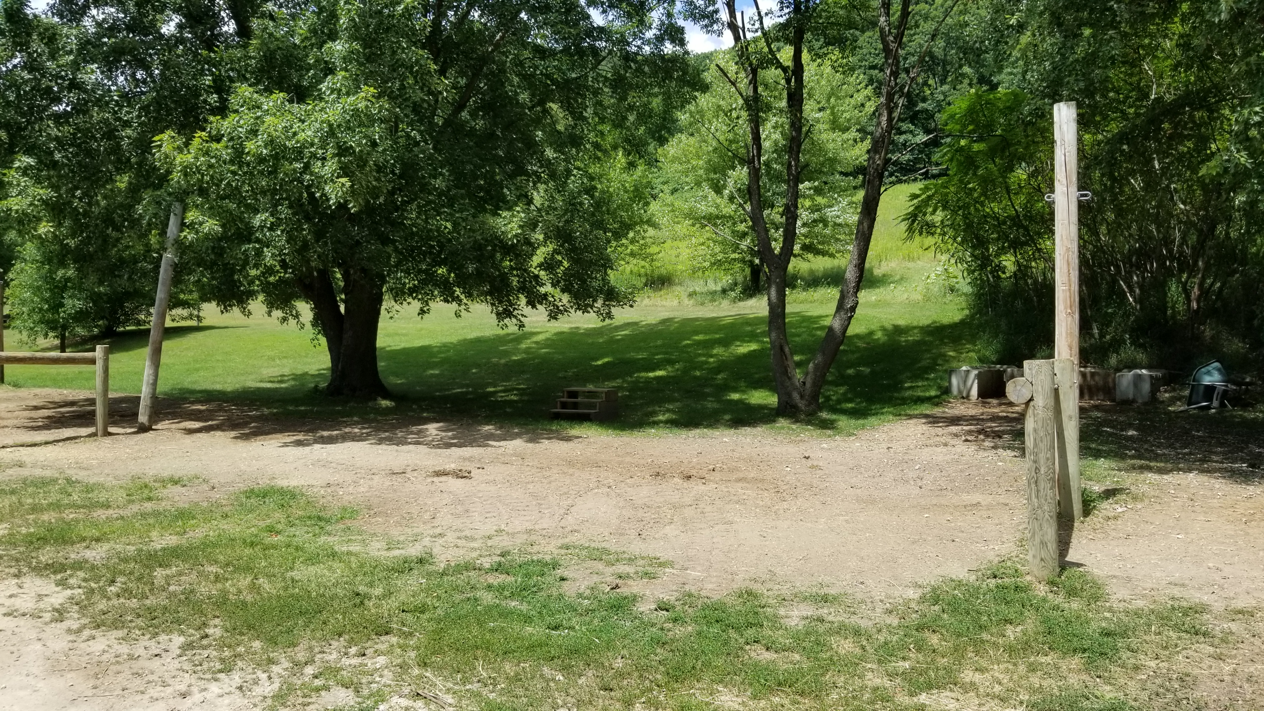 Site 202, photo 3 of 3 · from wisconsin.goingtocamp.com (the park's booking system)