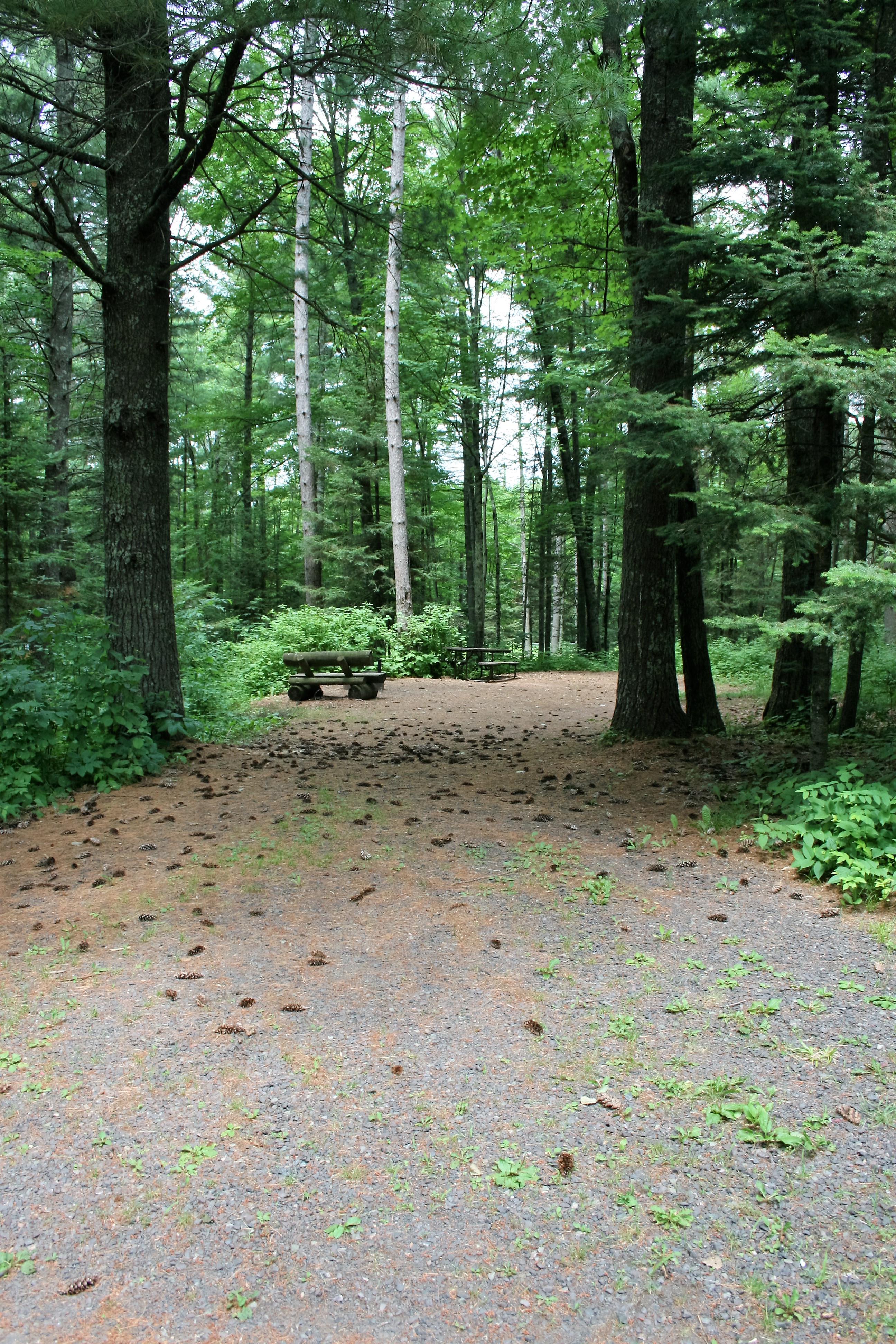 Site 37, photo 2 of 3 · from wisconsin.goingtocamp.com (the park's booking system)