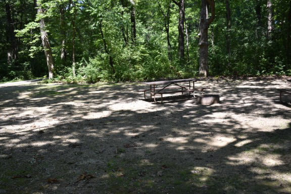 Site 19, photo 3 of 4 · from wisconsin.goingtocamp.com (the park's booking system)