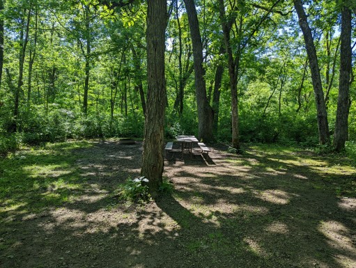 Site 6, photo 3 of 3 · from wisconsin.goingtocamp.com (the park's booking system)