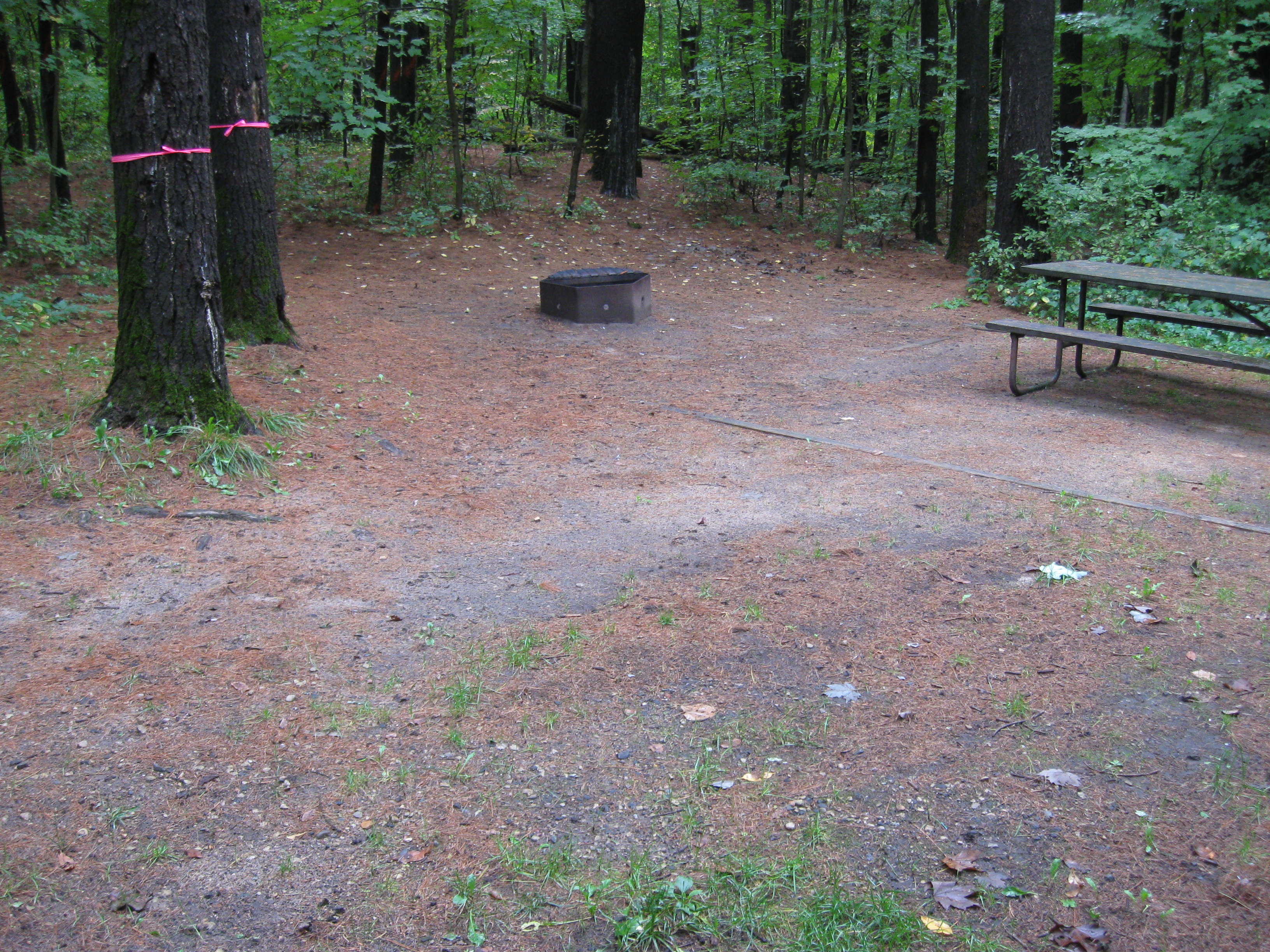 Site 82, photo 2 of 2 · from wisconsin.goingtocamp.com (the park's booking system)