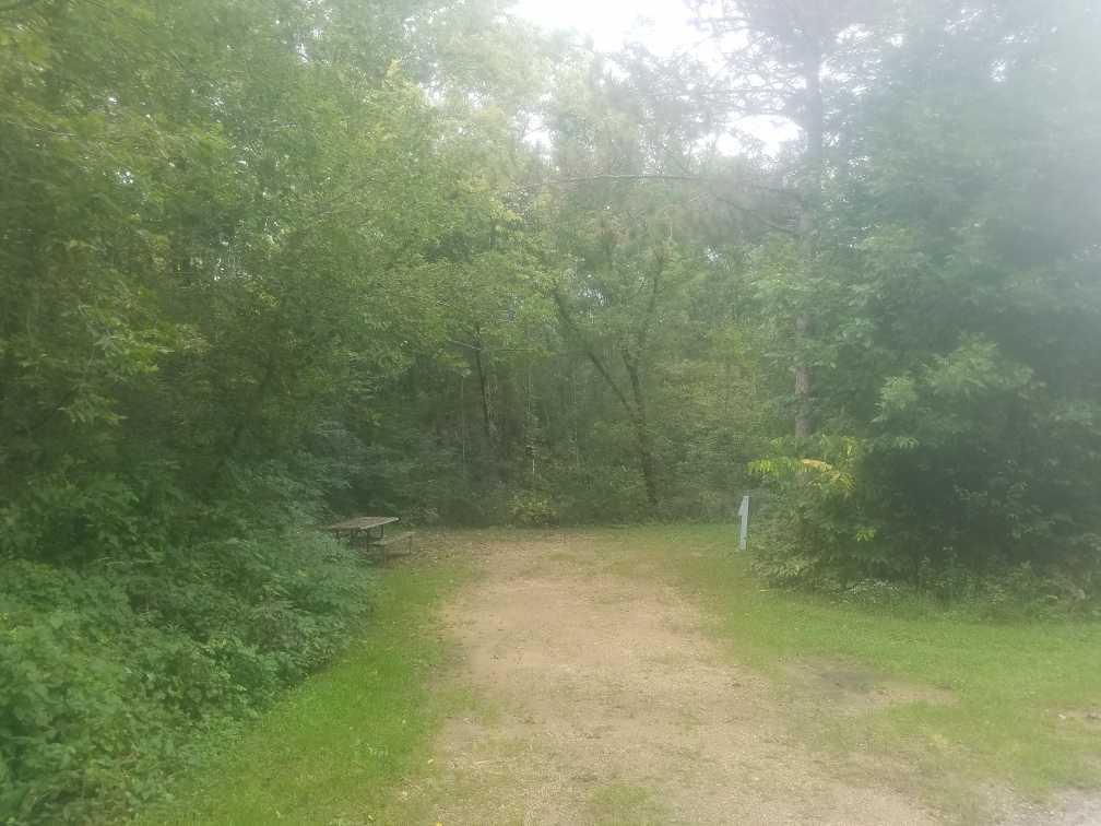Site 4, photo 2 of 3 · from wisconsin.goingtocamp.com (the park's booking system)