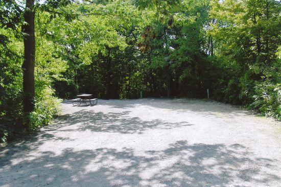 Site 274, photo 2 of 2 · from wisconsin.goingtocamp.com (the park's booking system)