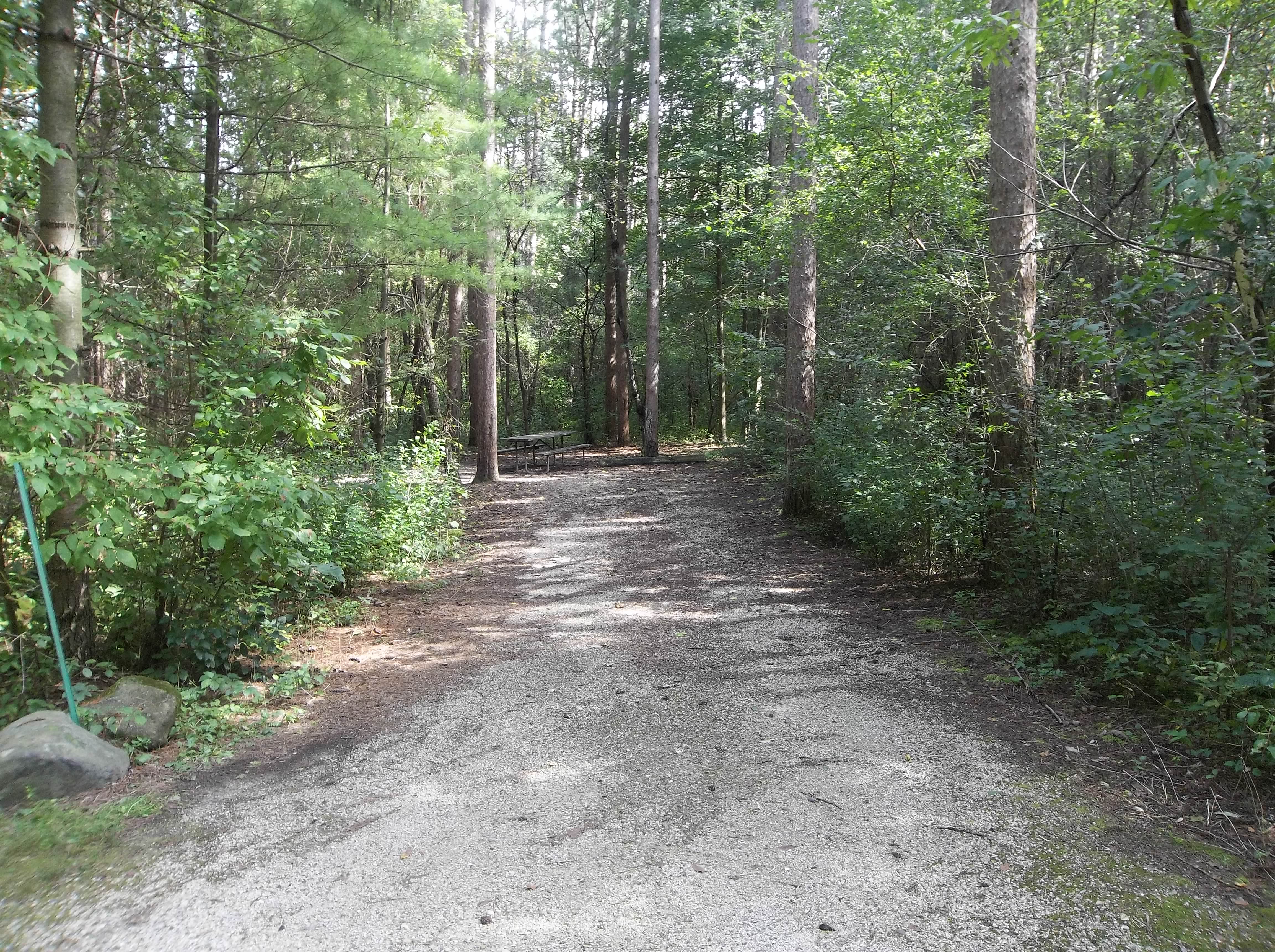 Site 263, photo 2 of 6 · from wisconsin.goingtocamp.com (the park's booking system)
