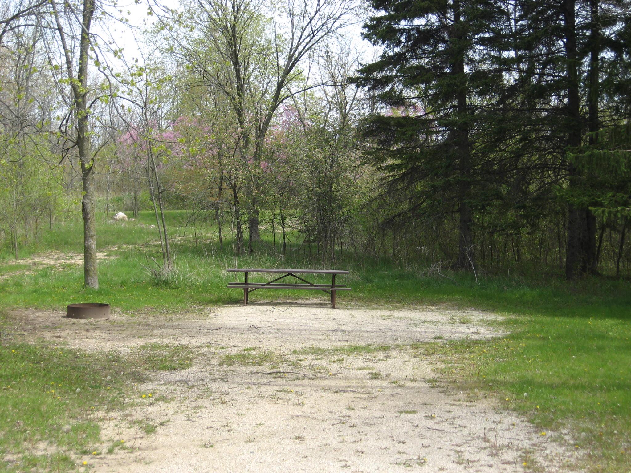 Site 640, photo 2 of 2 · from wisconsin.goingtocamp.com (the park's booking system)