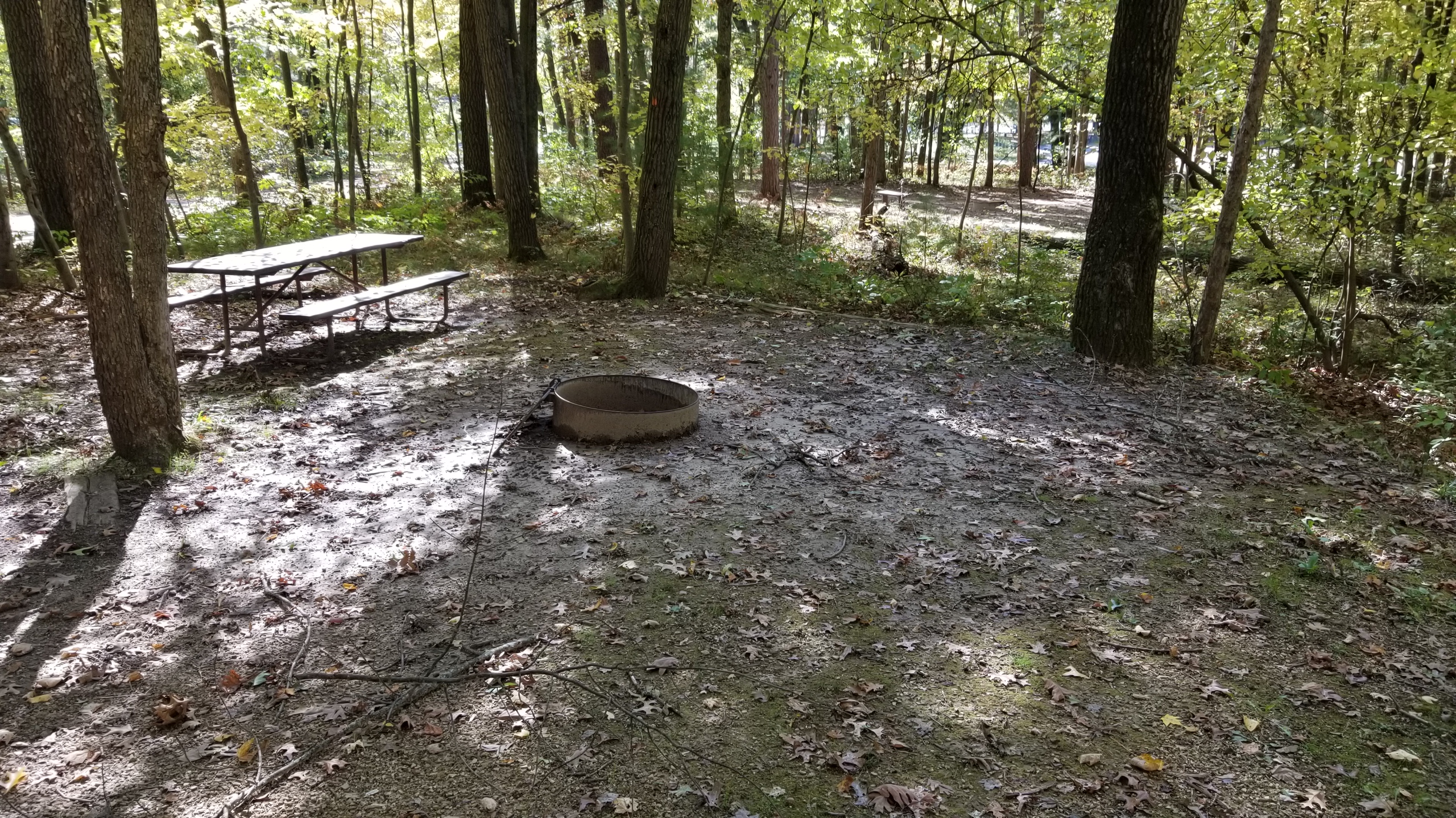 Site 5, photo 3 of 4 · from wisconsin.goingtocamp.com (the park's booking system)