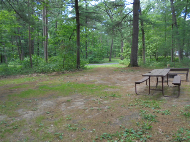 Site 5, photo 3 of 4 · from wisconsin.goingtocamp.com (the park's booking system)