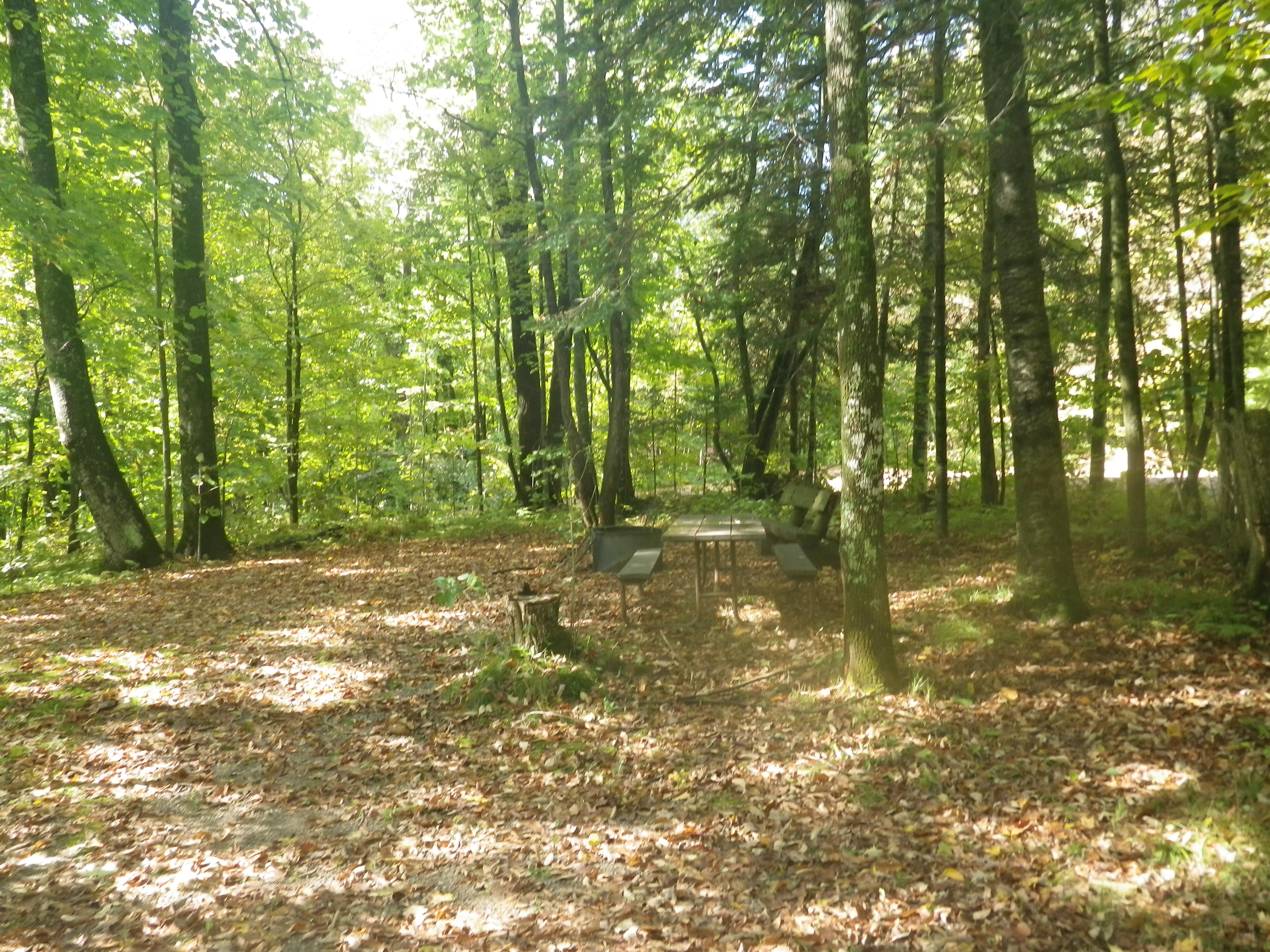 Site 101, photo 2 of 3 · from wisconsin.goingtocamp.com (the park's booking system)