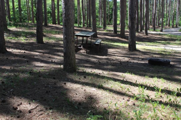 Site 45, photo 3 of 3 · from wisconsin.goingtocamp.com (the park's booking system)