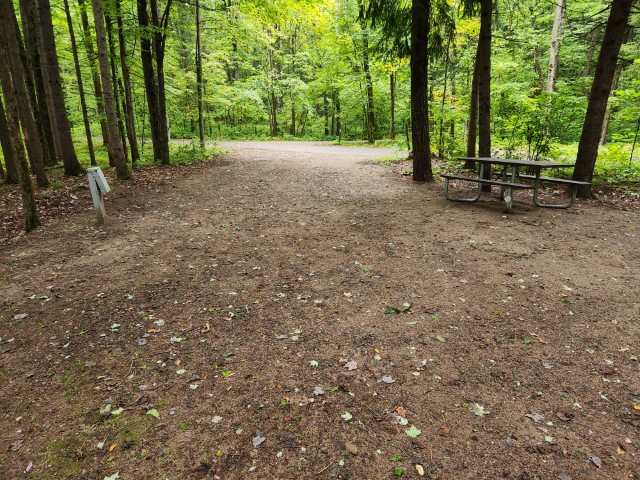 Site 1, photo 2 of 3 · from wisconsin.goingtocamp.com (the park's booking system)