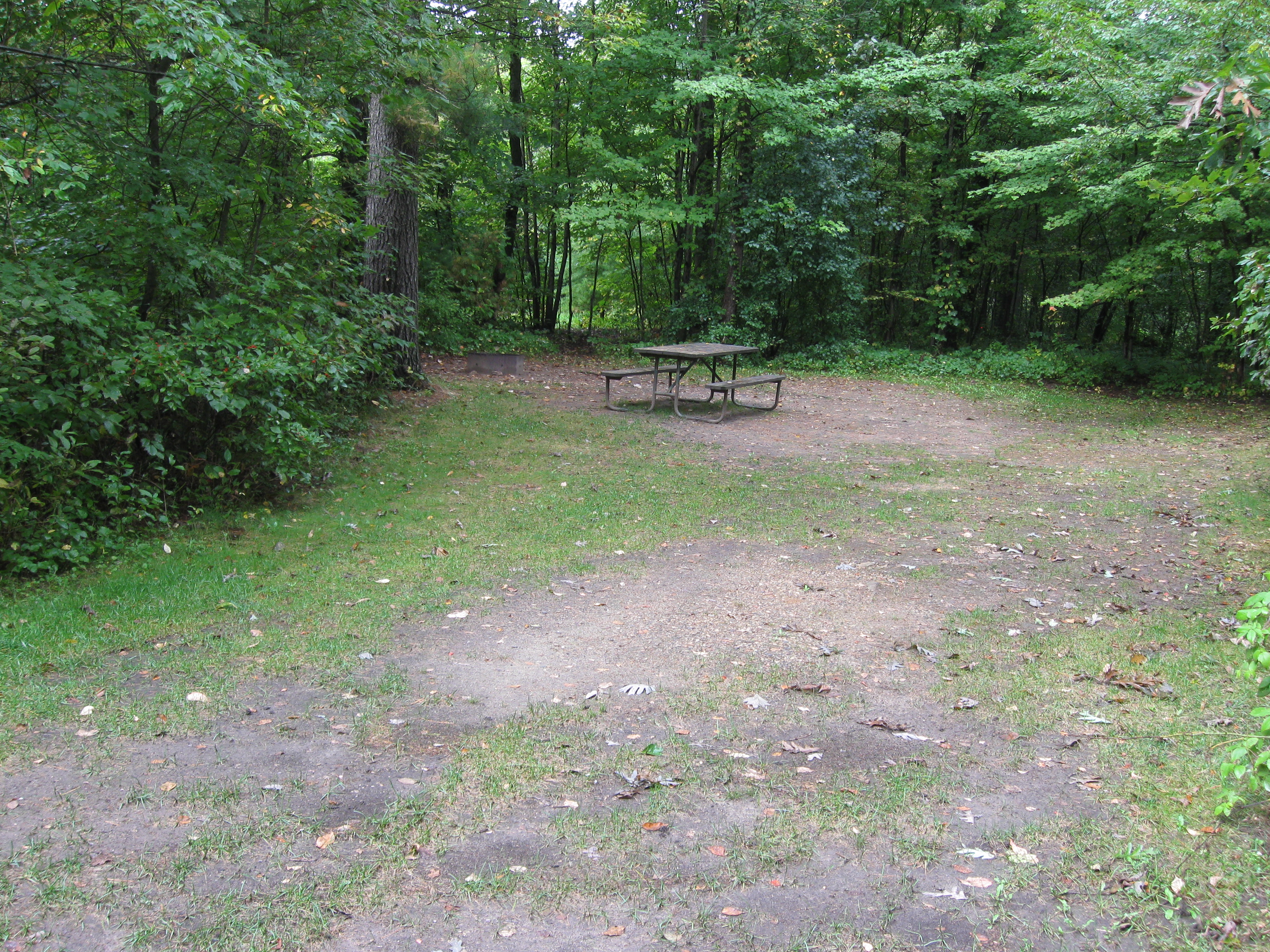 Site 65, photo 2 of 2 · from wisconsin.goingtocamp.com (the park's booking system)