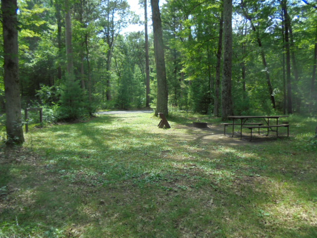 Site 11, photo 3 of 4 · from wisconsin.goingtocamp.com (the park's booking system)