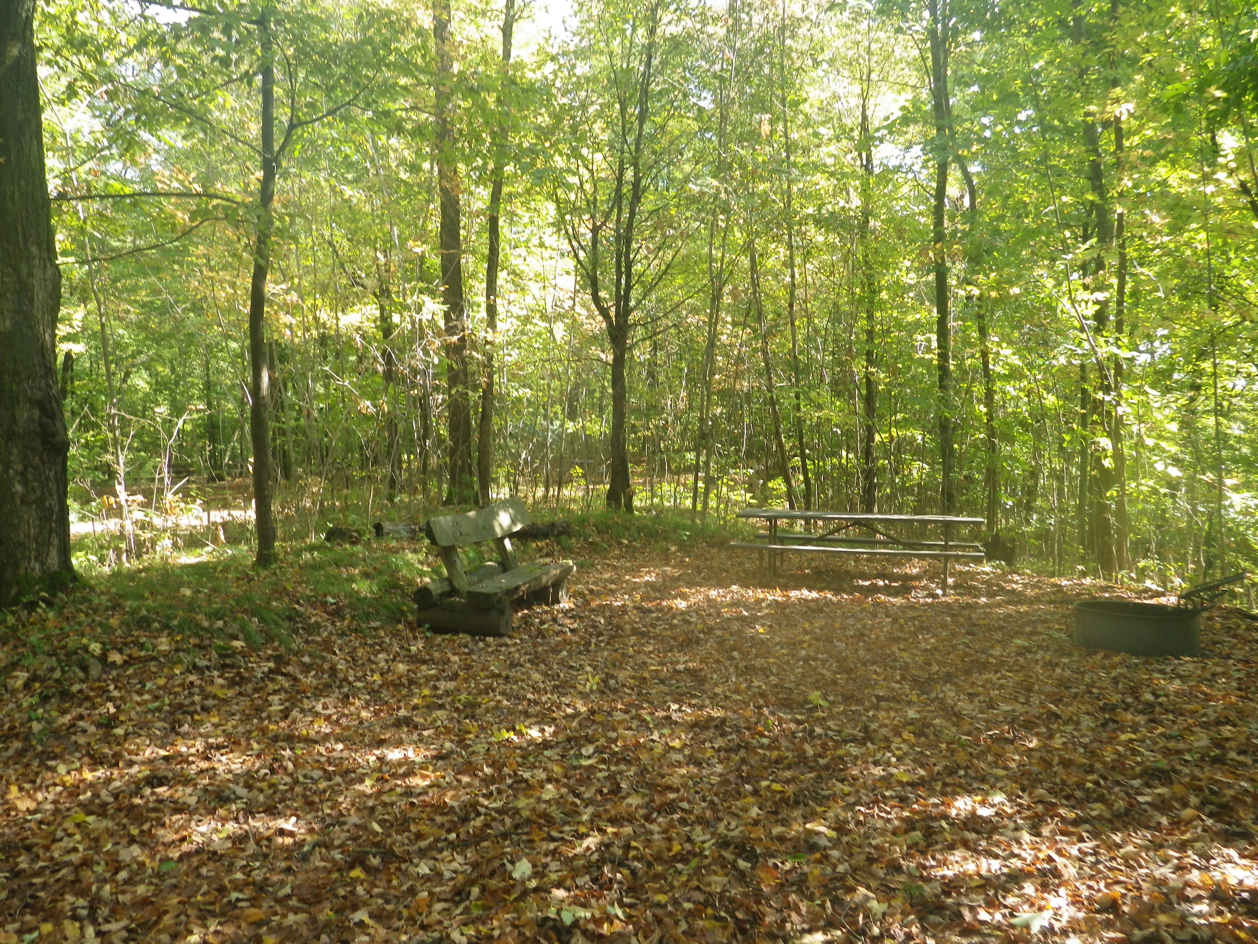 Site 103, photo 2 of 3 · from wisconsin.goingtocamp.com (the park's booking system)
