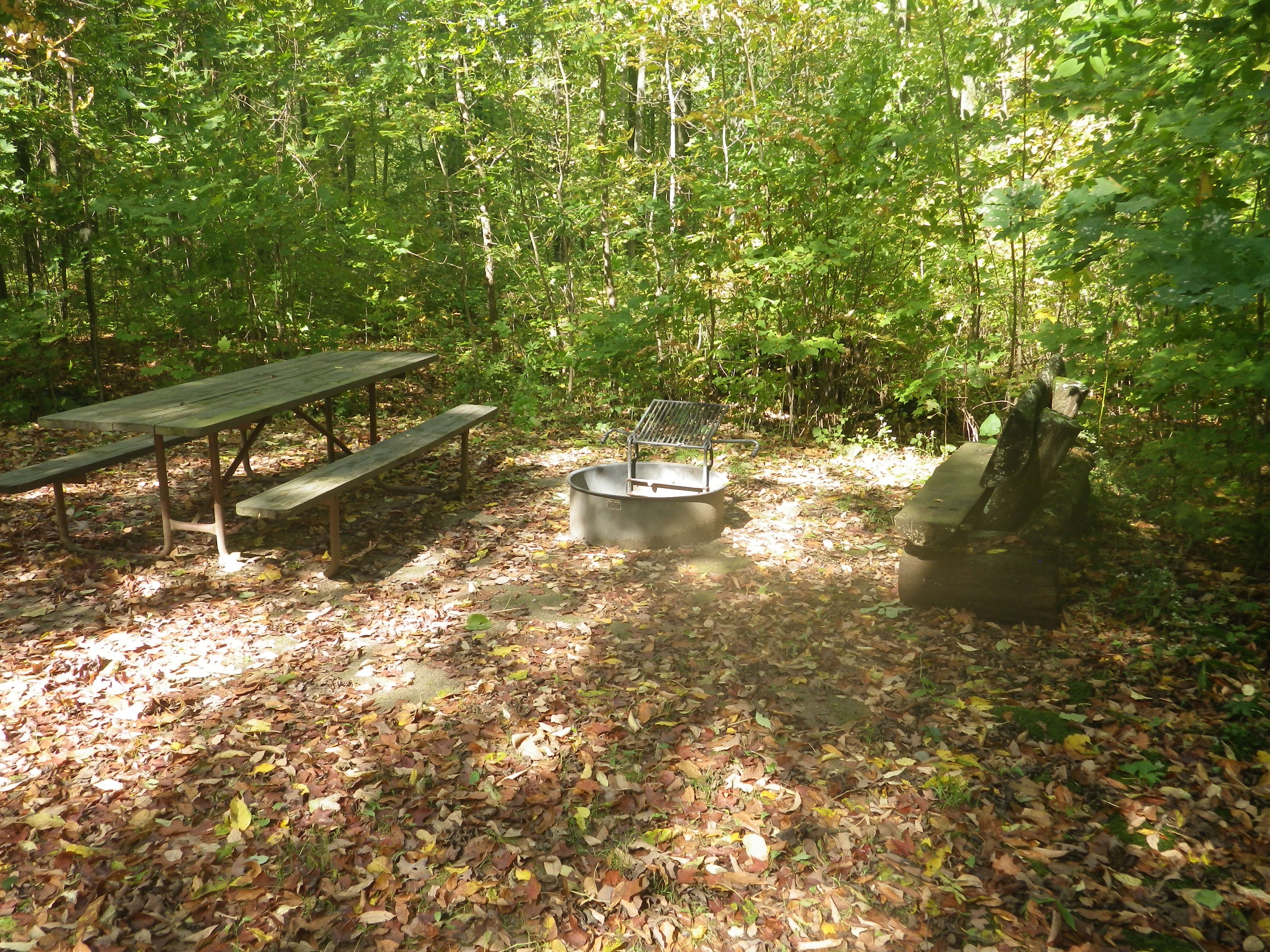 Site 126, photo 3 of 3 · from wisconsin.goingtocamp.com (the park's booking system)
