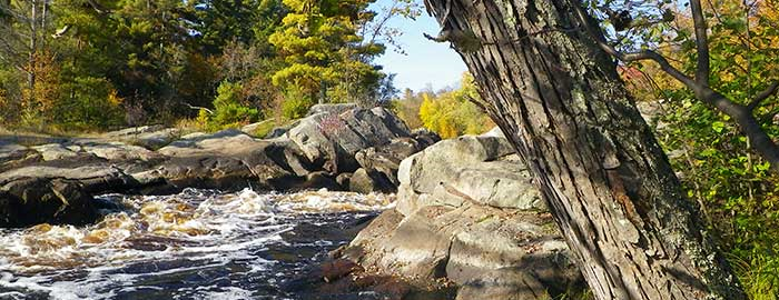 Flambeau River State Forest