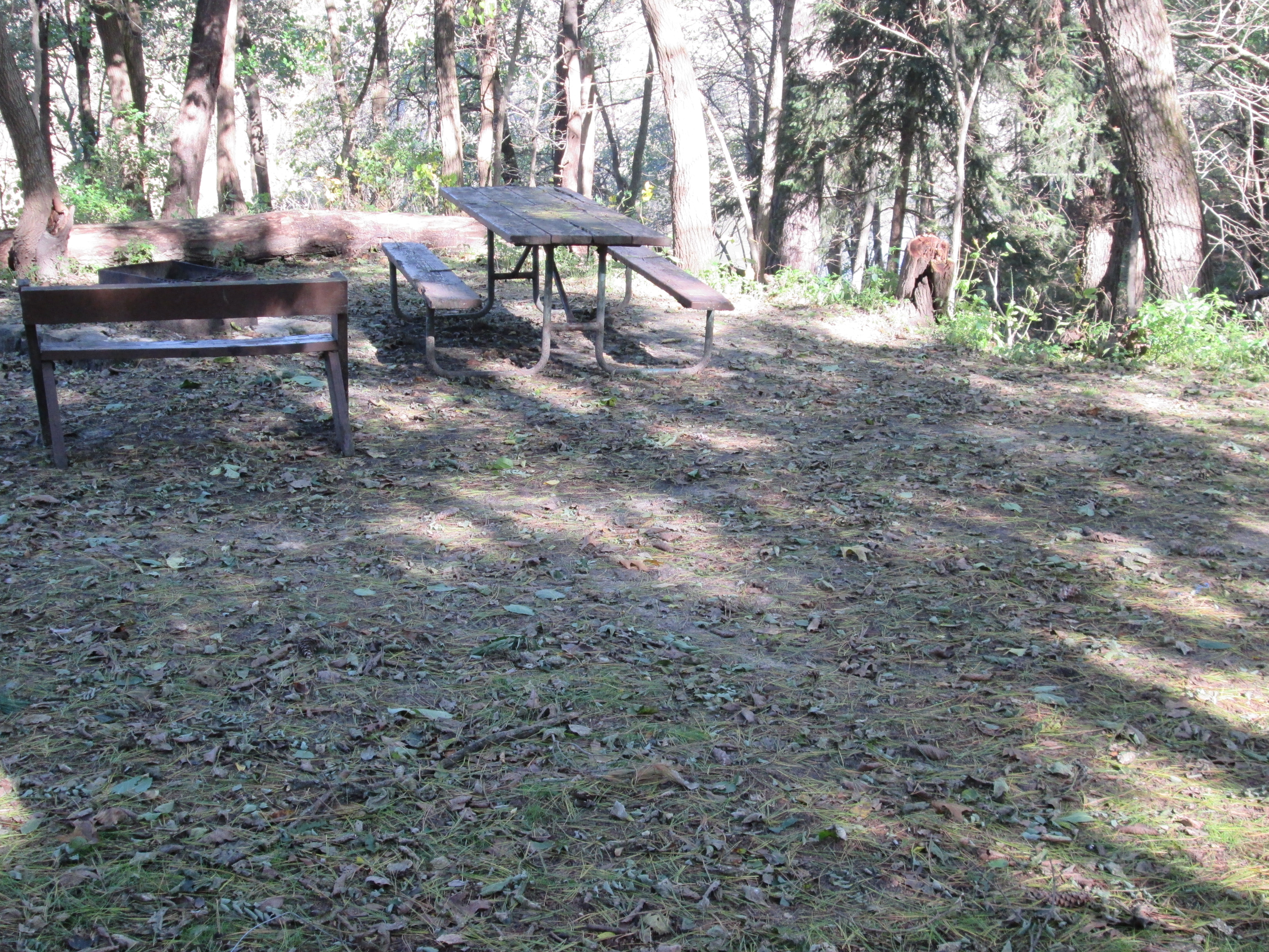 Site 3, photo 2 of 3 · from wisconsin.goingtocamp.com (the park's booking system)