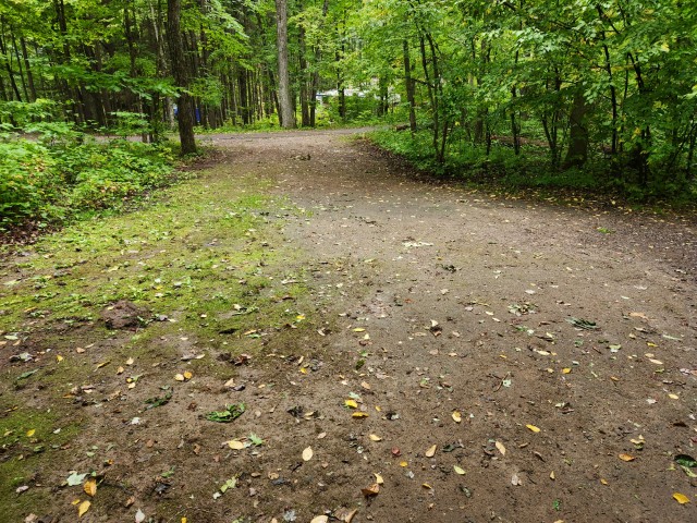 Site 2, photo 2 of 3 · from wisconsin.goingtocamp.com (the park's booking system)