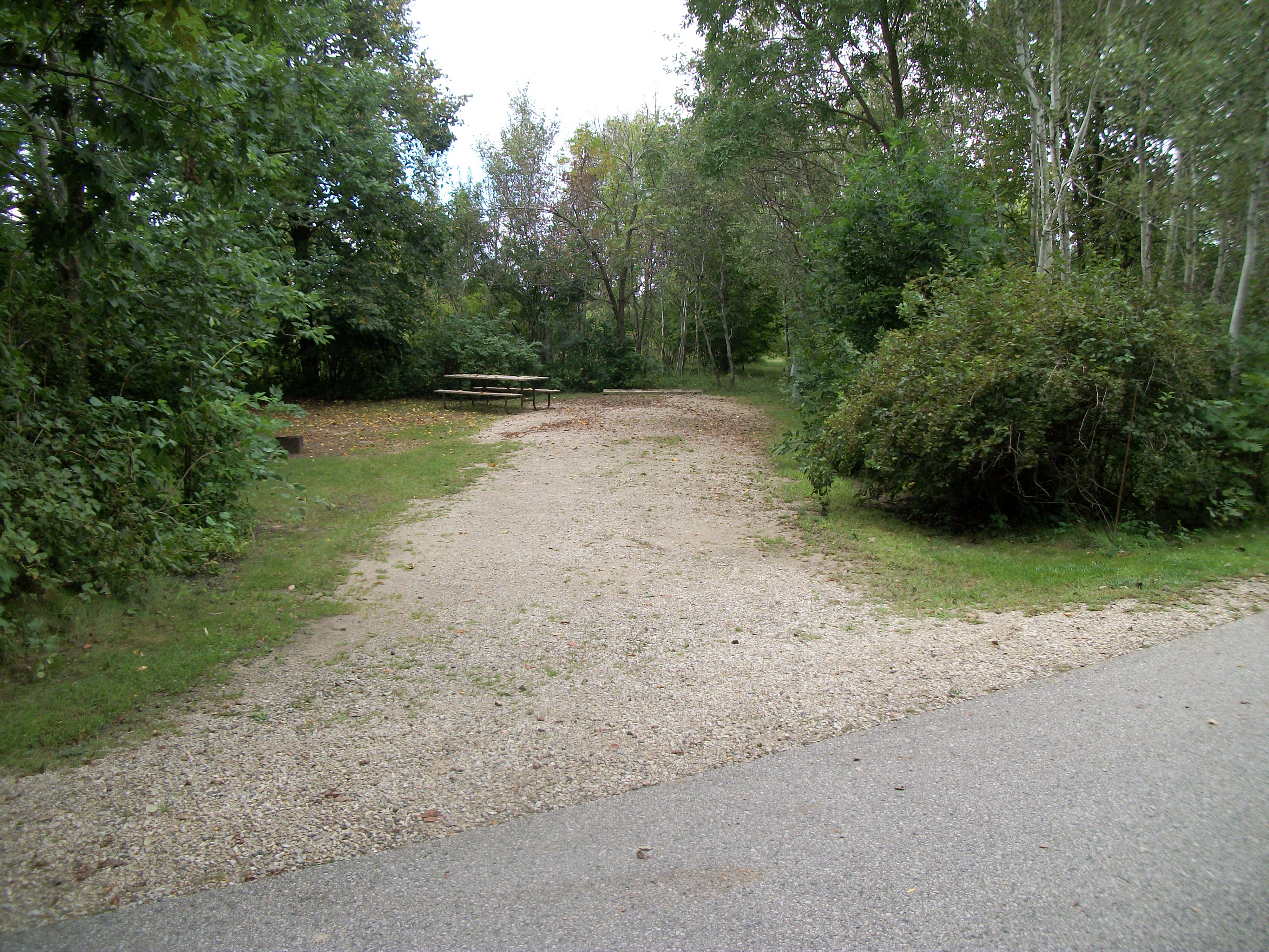 Site 398, photo 2 of 3 · from wisconsin.goingtocamp.com (the park's booking system)