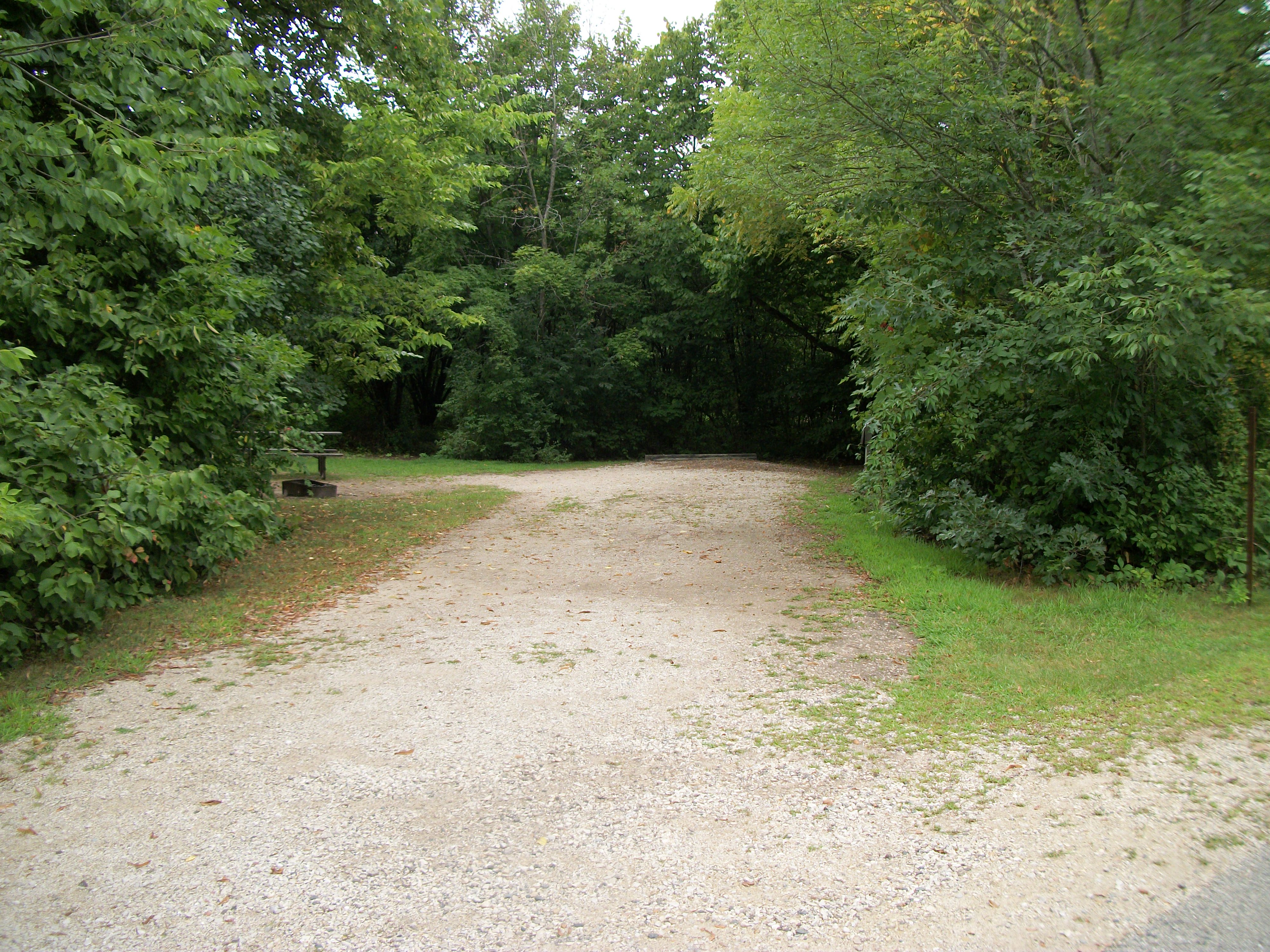 Site 355, photo 2 of 3 · from wisconsin.goingtocamp.com (the park's booking system)