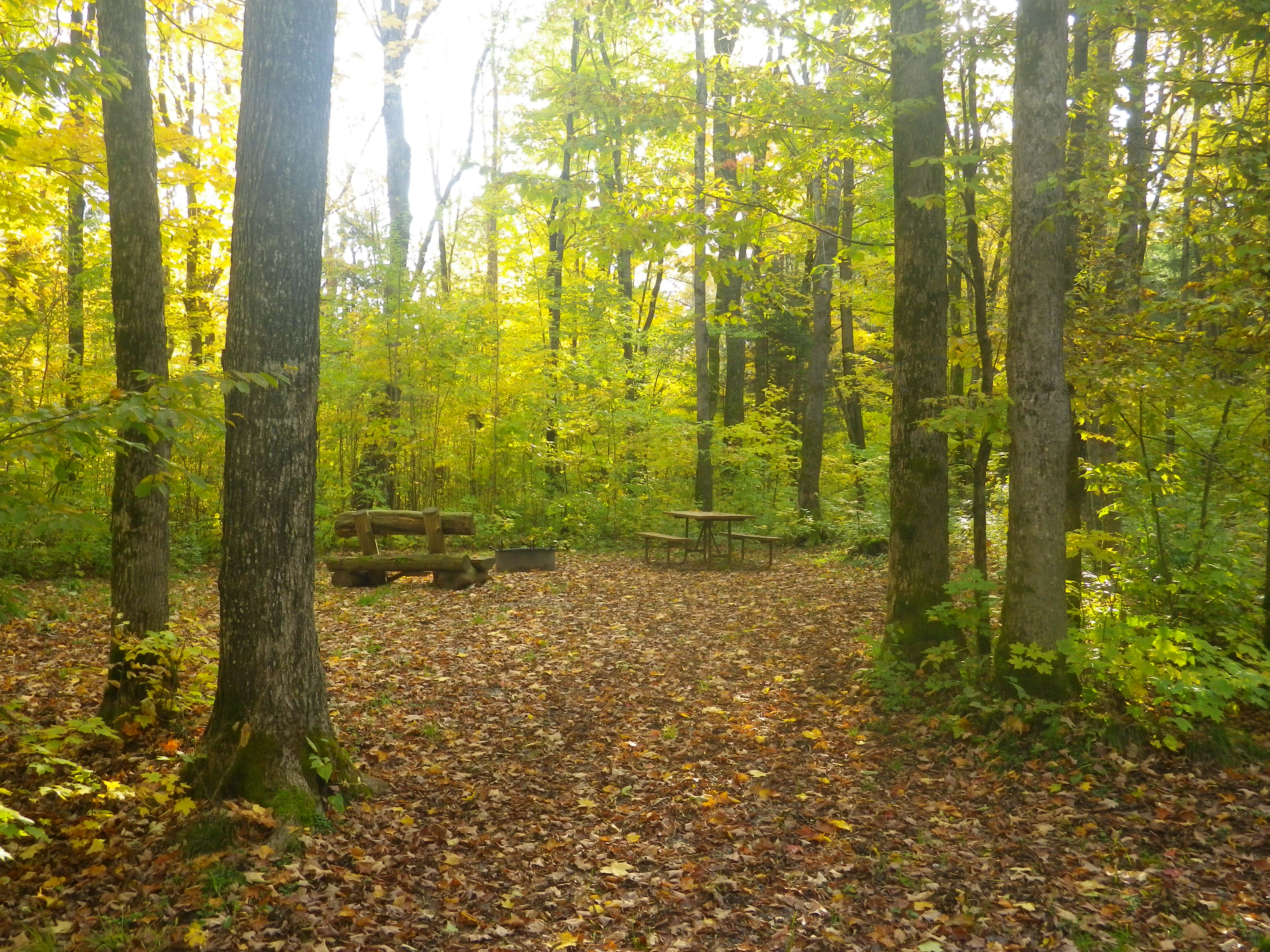 Site 26, photo 2 of 3 · from wisconsin.goingtocamp.com (the park's booking system)